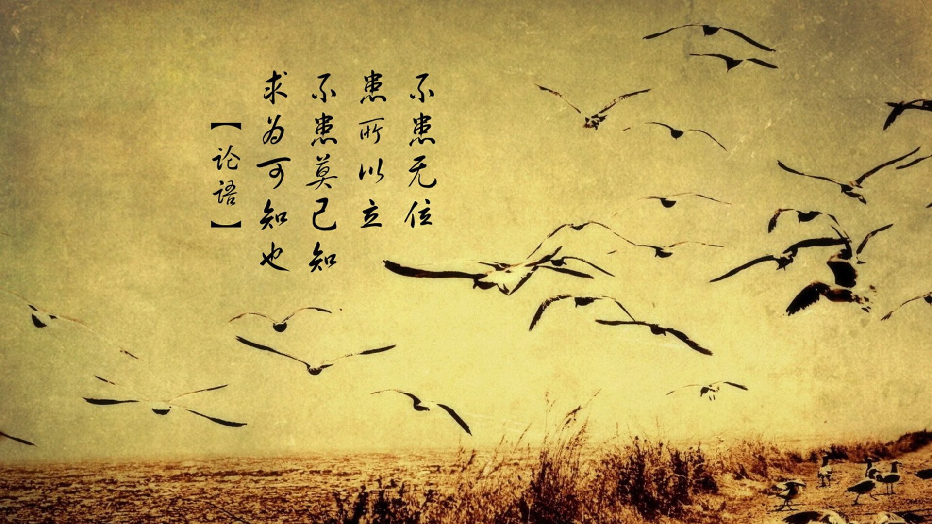 爱游戏官方-“足球+科技”的创新创业大赛火热展开，引领行业新潮流，关于足球的创业