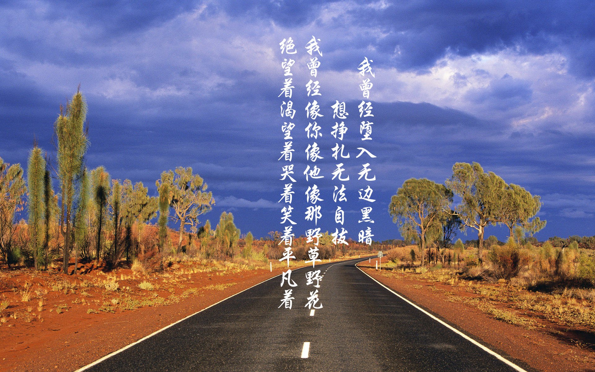 最佳比赛节奏：那些“永不落幕”的欧冠夜晚，欧冠表演