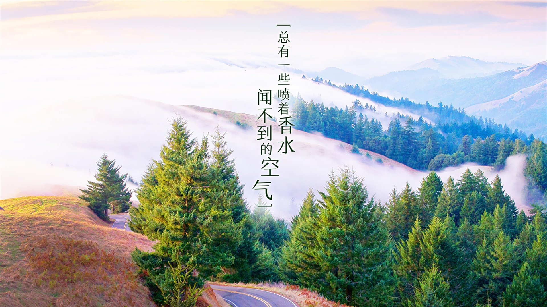 爱游戏-太阳队后卫布克成为全明星周末MVP，太阳队布克单场最高分