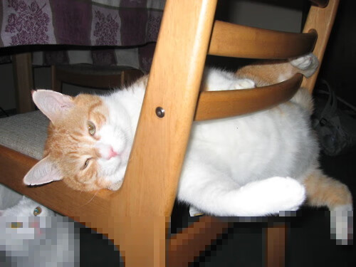 未来联赛布局：东南亚、非洲》等新兴市场崛起计划