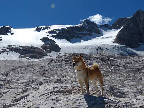 英超比赛中裁判语调与非语言行为对球员情绪波动的影响,用语言或行为对裁判员