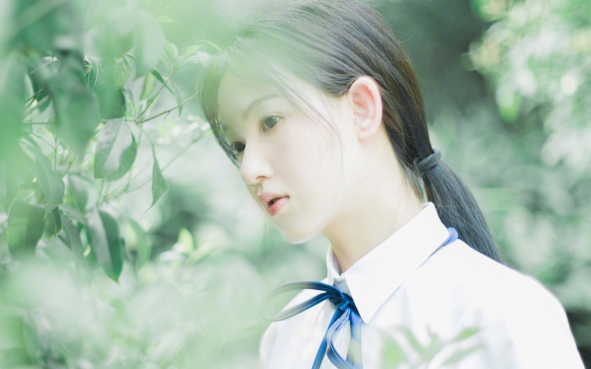 团体赛制下的澳大利亚队:提升全队水平的关键战术,澳大利亚队大名单