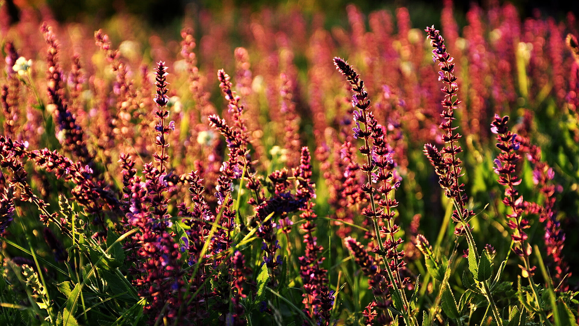 爱游戏中国官方登录入口网站-国家队比赛节奏不符合现代高强度要求，国家队的比赛