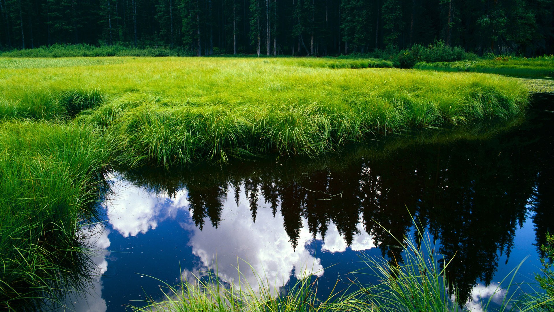 国际乒联混合团体世界杯:中国香港队的表现超越预期,香港世乒赛