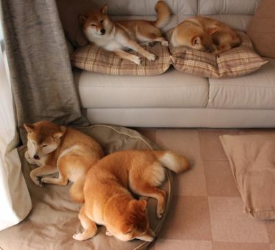 爱游戏登录入口-探索未来：澳大利亚队如何通过技术创新提升世界排名，澳大利亚球队怎么样