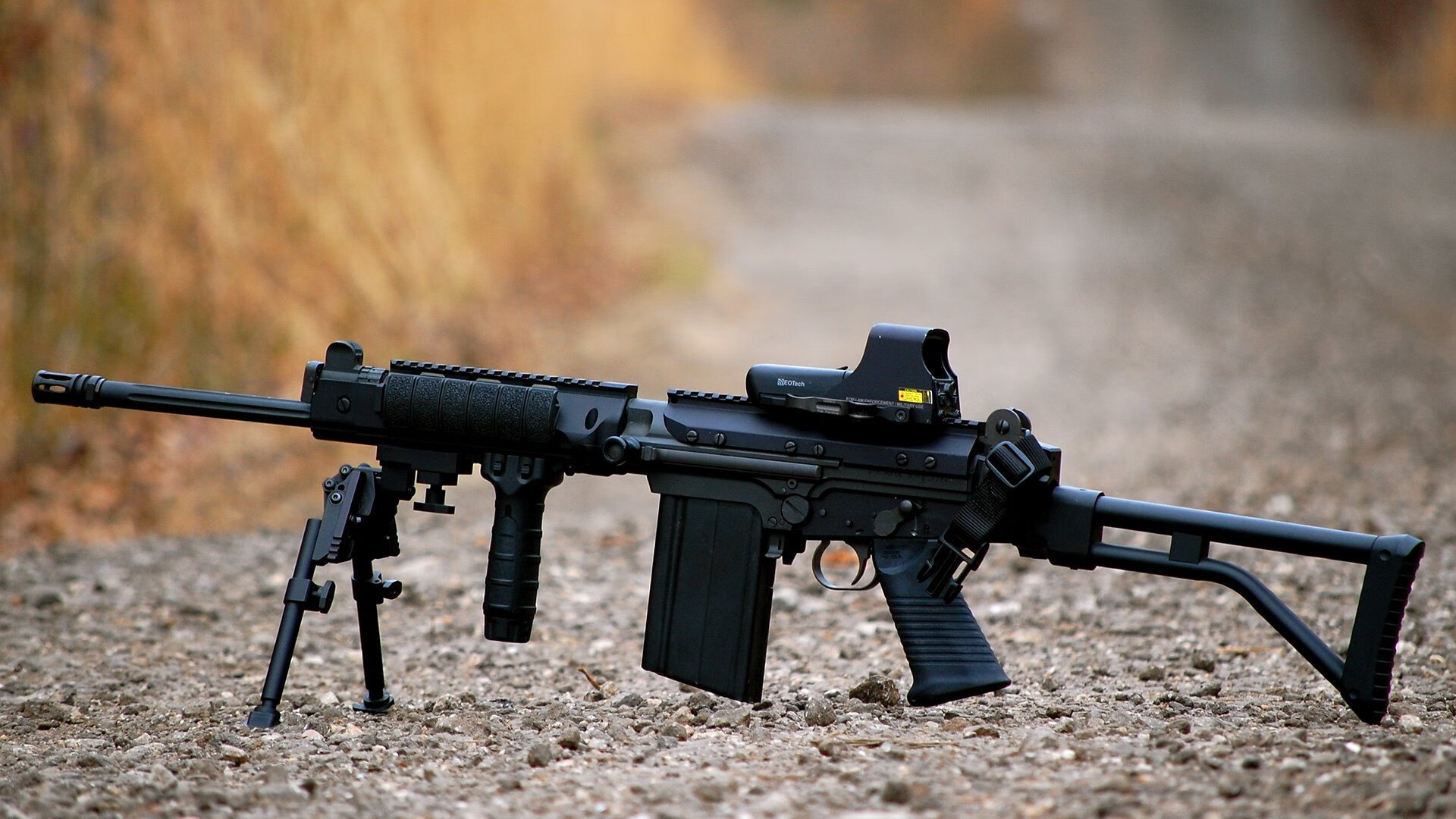 李冰洁摘金 女子自由泳再传捷报,李冰洁游泳冠军