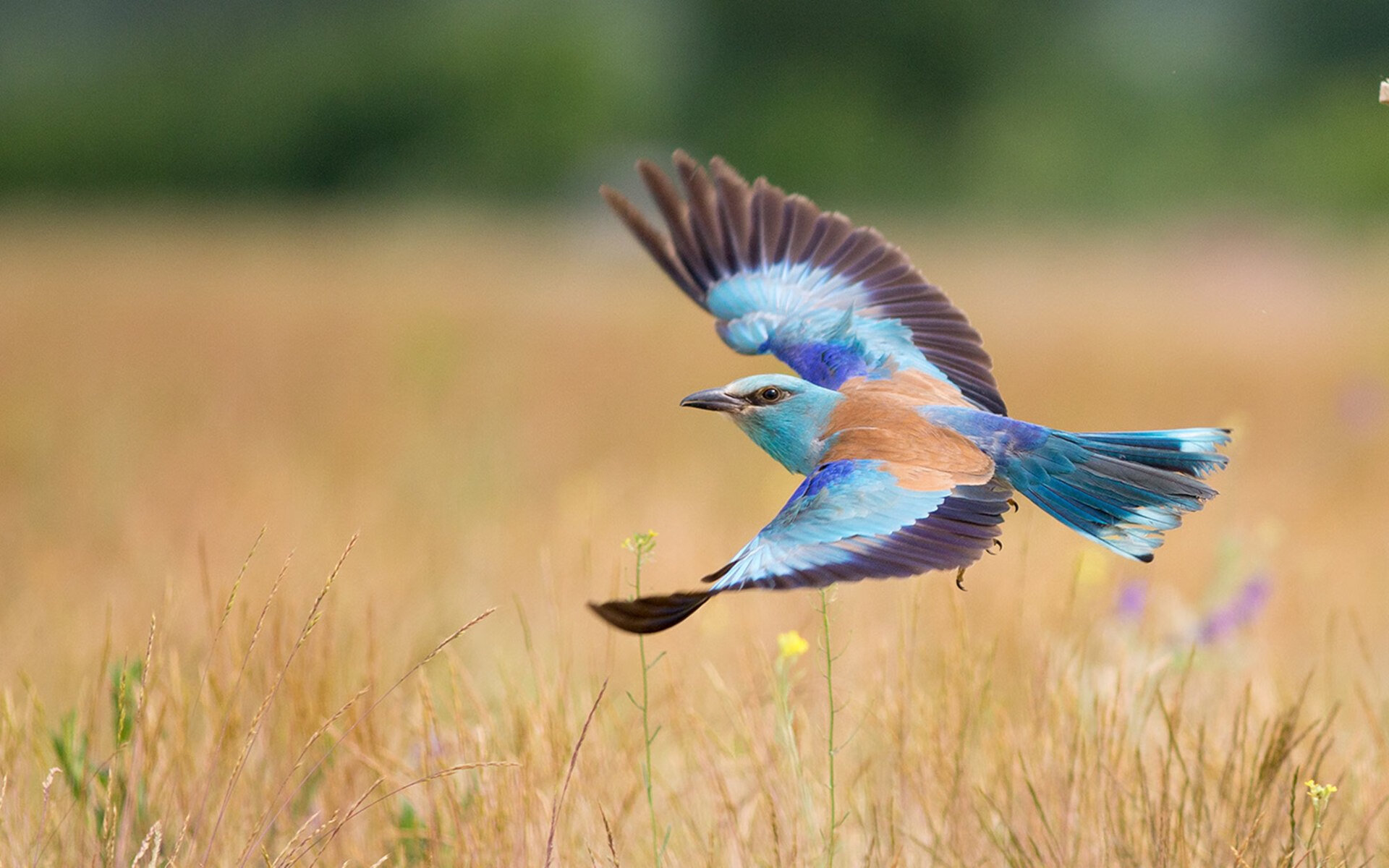 爱游戏体育（AYX）官方APP下载-突破终结手如何保持高命中率，终阶突破