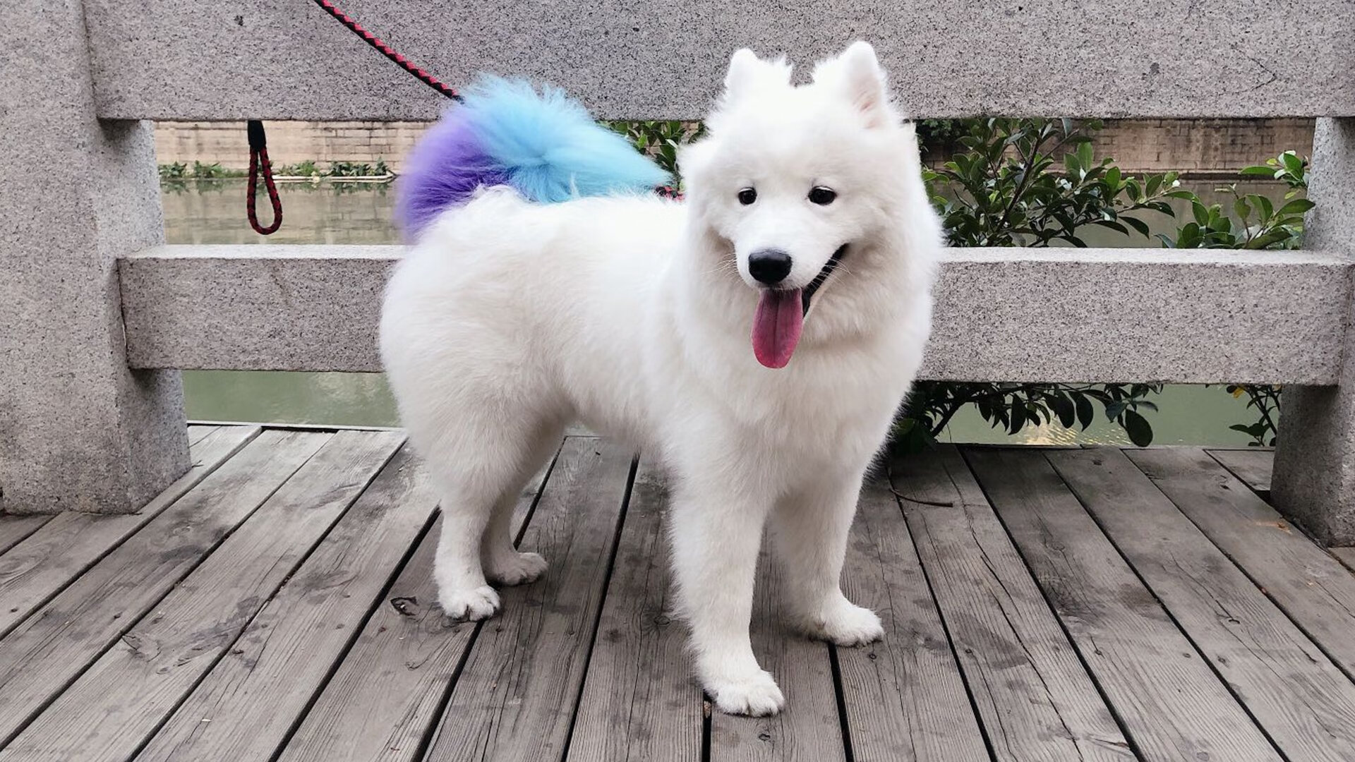 CBA球队完善后勤保障体系保障训练和比赛顺利进行，篮球赛后勤部工作