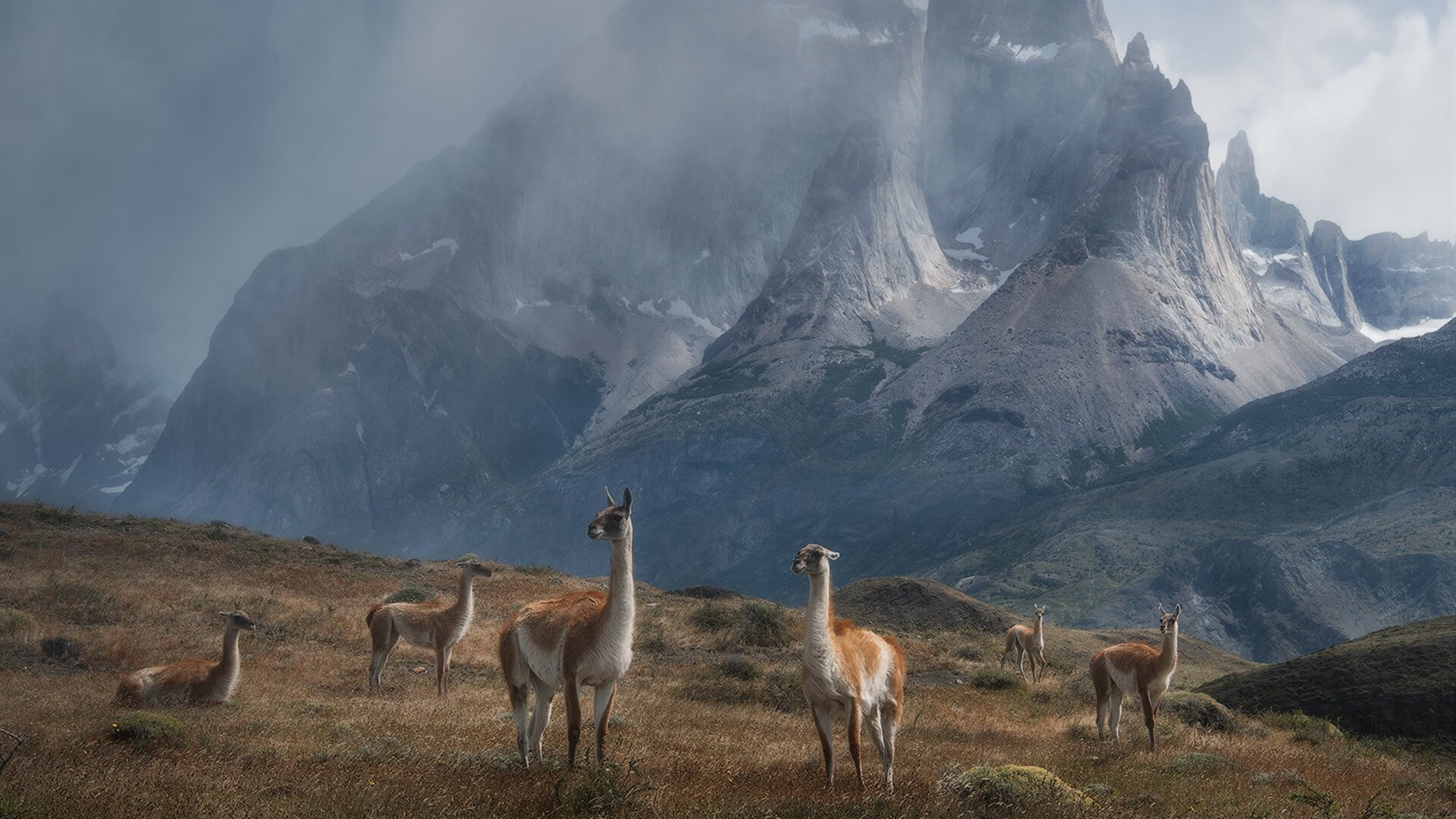 女子跳水三米板南非力夺银牌，女子跳水三米板排名