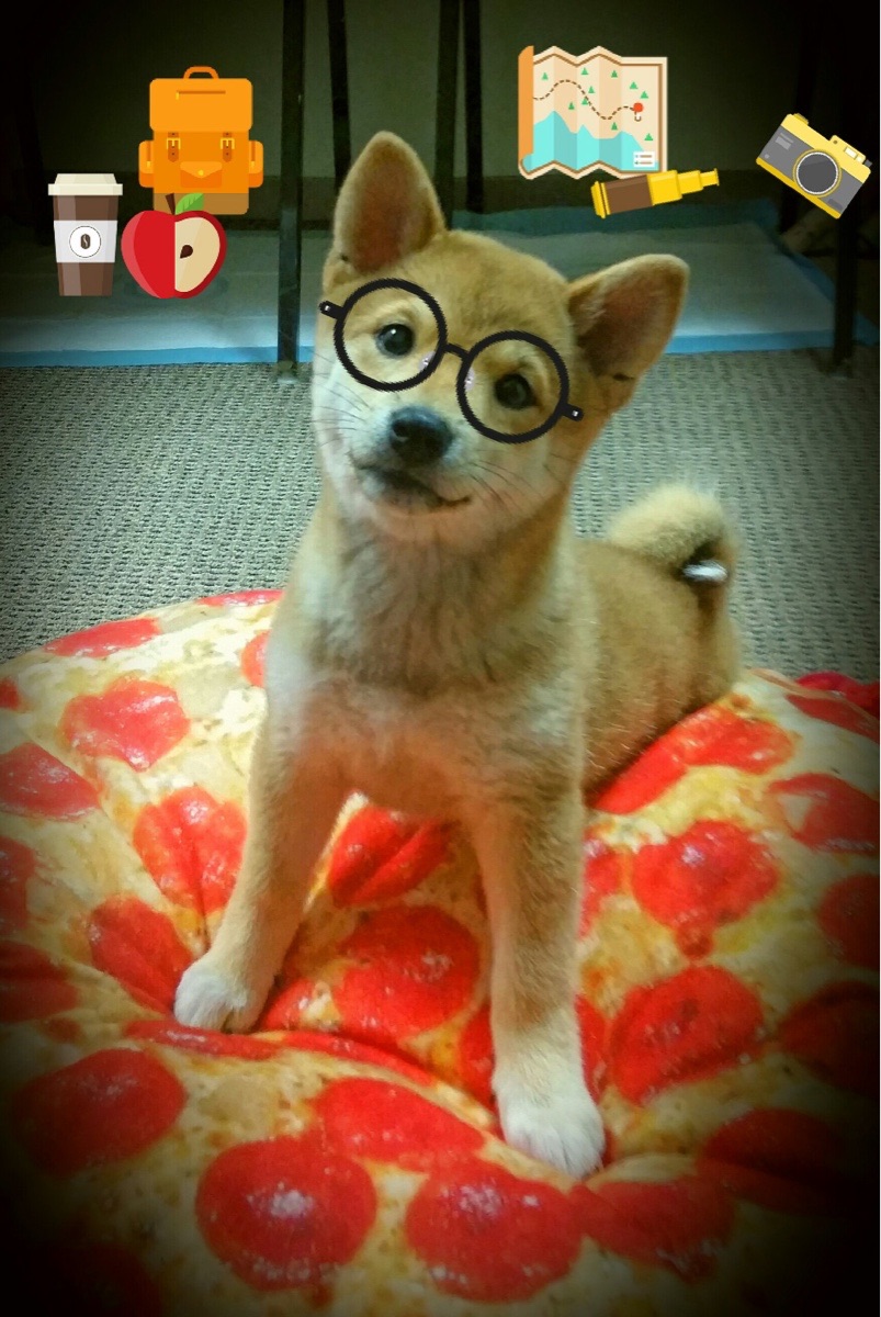 湖人主帅称赞浓眉篮下威慑力十足，湖人队浓眉是谁