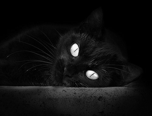 爱游戏综合娱乐-男篮国家队新增实战录像分析课程提升判断能力，男篮国家队最新名单