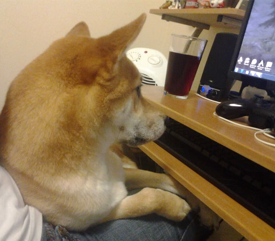 爱游戏下载-训练内容多样化提升球员综合能力适应不同比赛节奏，如何让球员在训练中学会自我管理