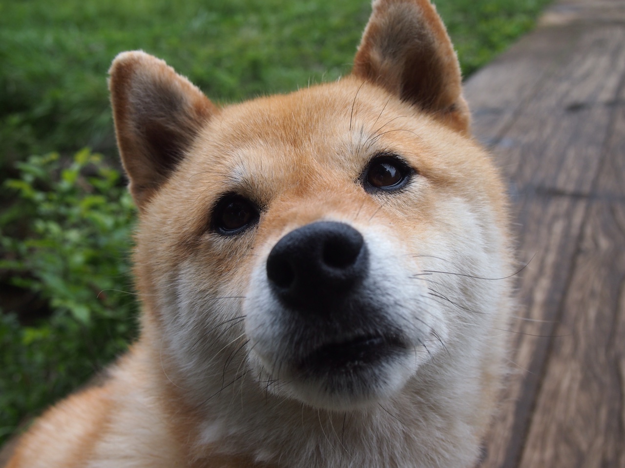 马刺在球员宿舍设置阅读空间鼓励学习，马刺的球馆