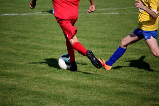 ayx体育app官网入口-中超球员比赛热度曲线与表现匹配模型，中超热身赛