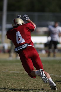 爱游戏体育APP下载-全国青少年跳水锦标赛在深圳火热进行，全国青少年跳水比赛