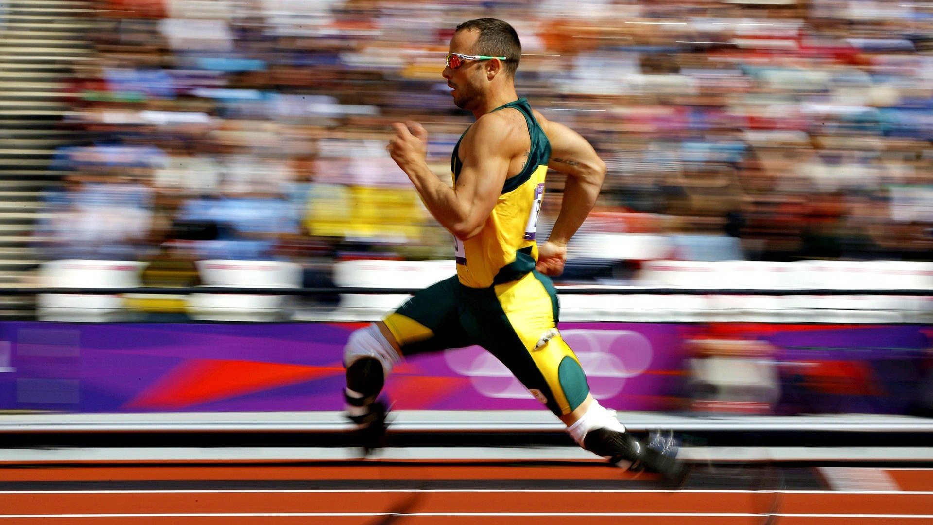 体育新闻中心发布体育行业用户行为研究报告，体育市场现状分析